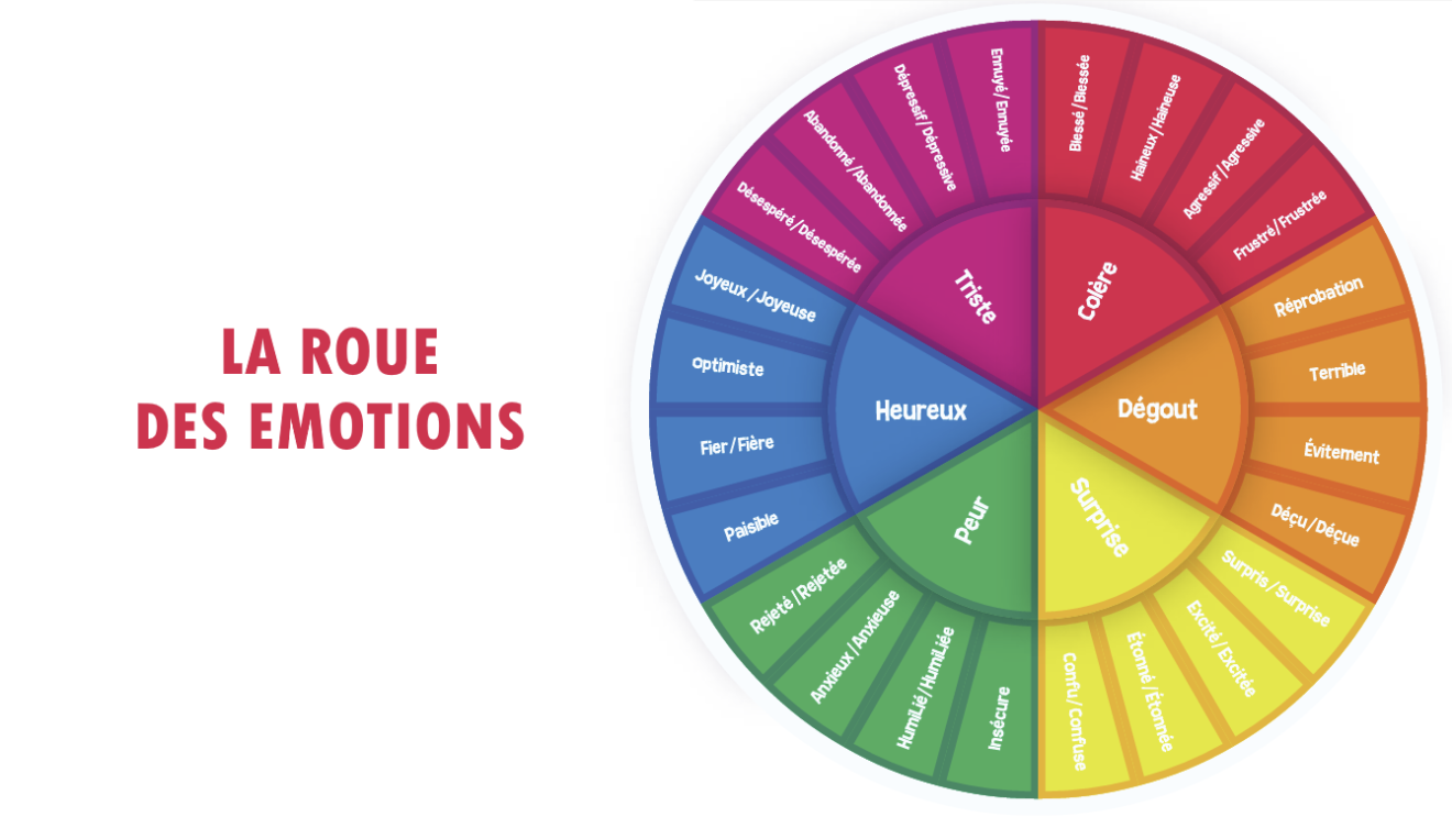 La roue des émotions Un outil d introspection et de gestion des