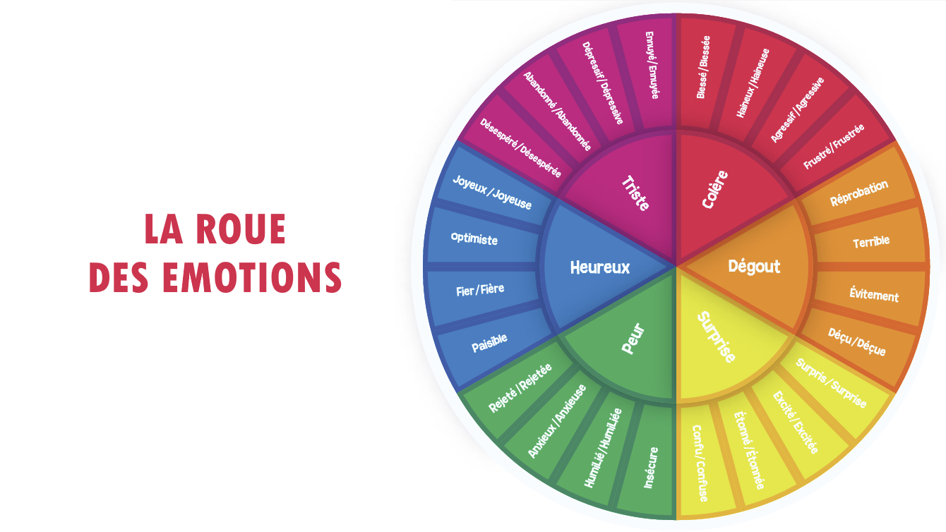 La roue des émotions : Un outil d’introspection et de gestion des émotions dans le coaching agile